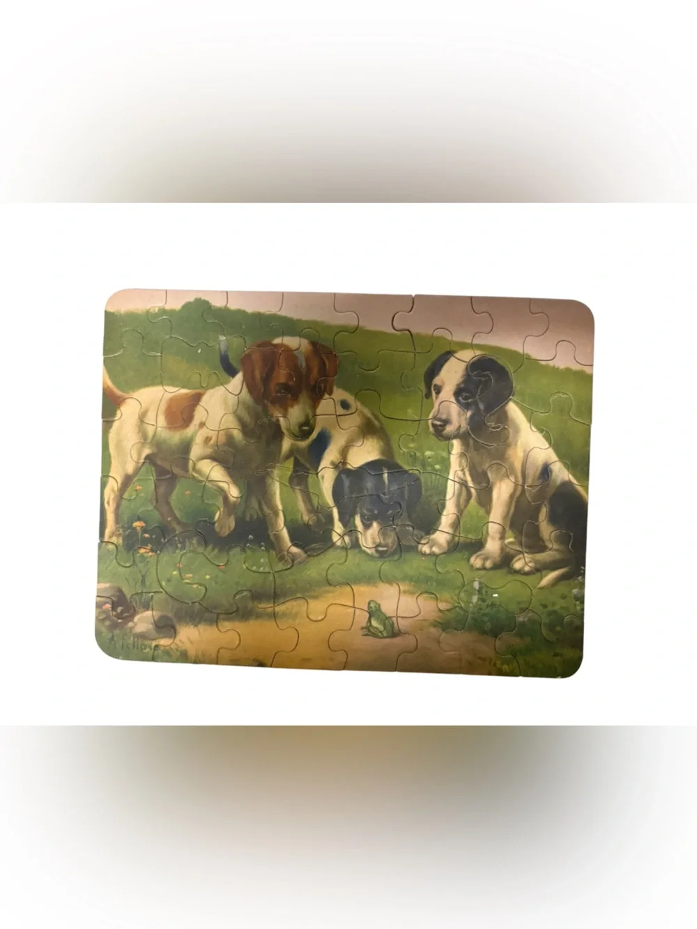 1930’s-40s Perfect Children’s Jigsaw Puzzles No 310 2 Puzzles Original Box